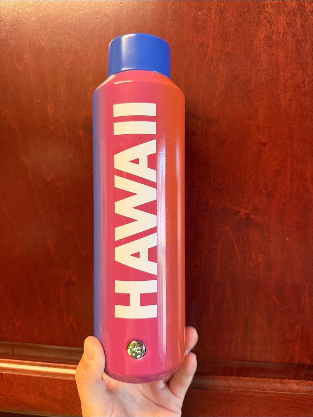 Ombré Metal Starbucks Water bottle